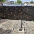 Fish Gold Granite (1) Fish Gold Granite (1)