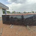 Fish Gold Granite (3) Fish Gold Granite (3)
