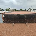 Fish Gold Granite (5) Fish Gold Granite (5)