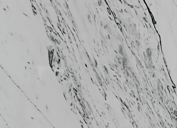 pattern-statuario-marble