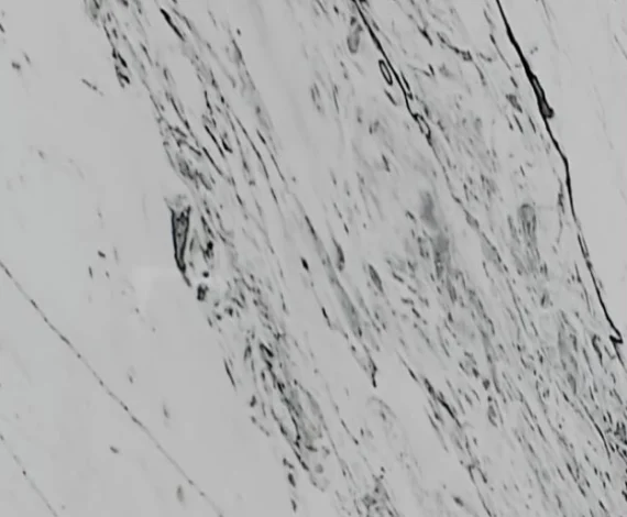 pattern-statuario-marble pattern-statuario-marble